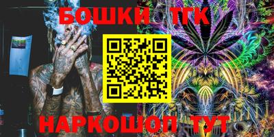 индика Будённовск