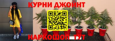 стафф Бугуруслан