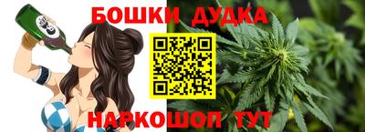 индика Будённовск