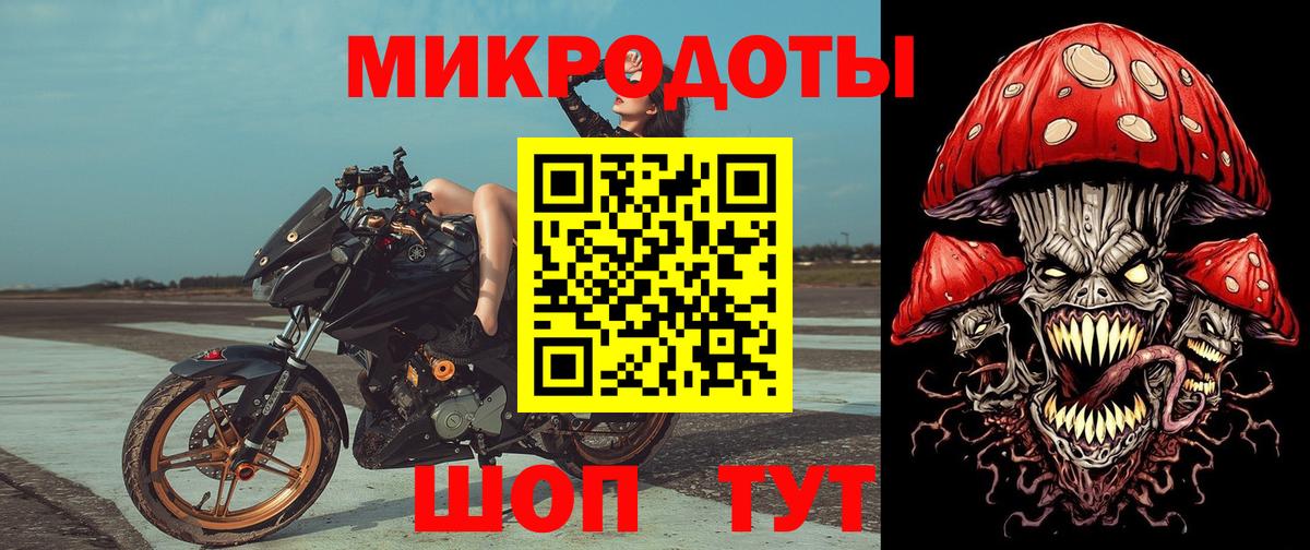 Псилоцибиновые грибы Psilocybine cubensis Отрадное