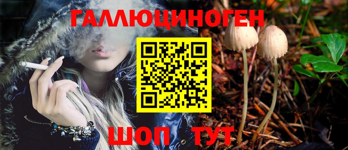 что такое   Отрадное  Галлюциногенные грибы Psilocybine cubensis 