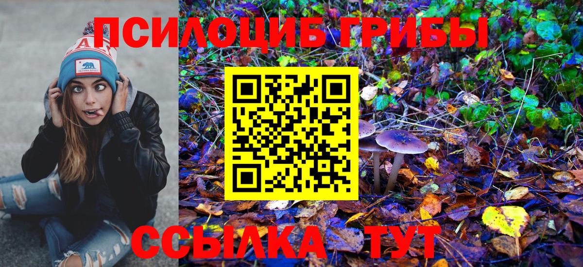 Галлюциногенные грибы прущие грибы  Вход с VPN  Отрадное  Галлюциногенные грибы MAGIC MUSHROOMS 