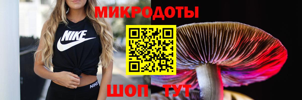 Галлюциногенные грибы мицелий Отрадное